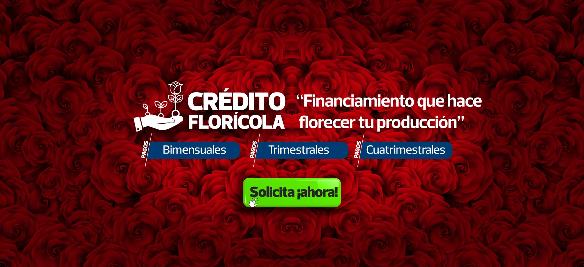 CREDITO FLORICOLA